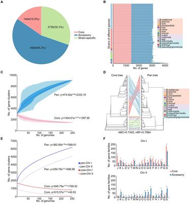 Comparative genomic analysis provides insights into the genetic diversity and pathogenicity of the genus Brucella